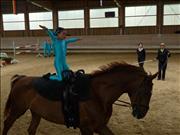 voltitag 2009 _CD1 045